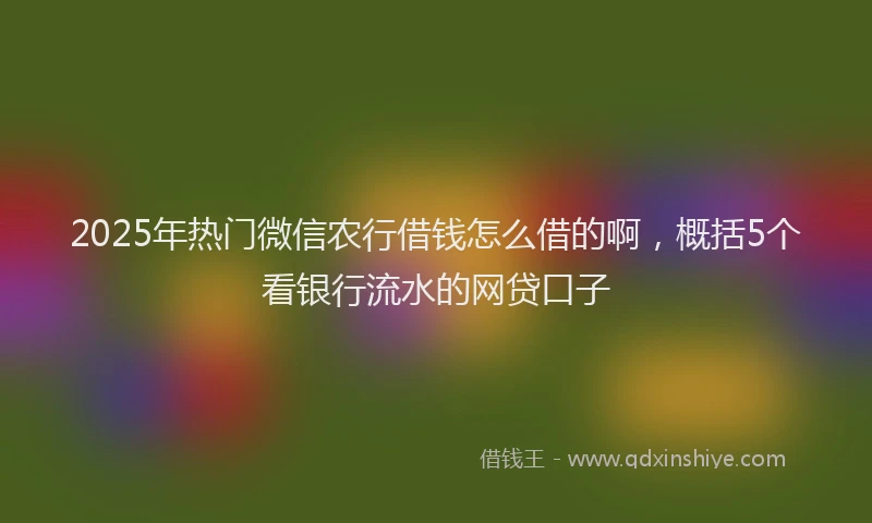 2025年热门微信农行借钱怎么借的啊，概括5个看银行流水的网贷口子
