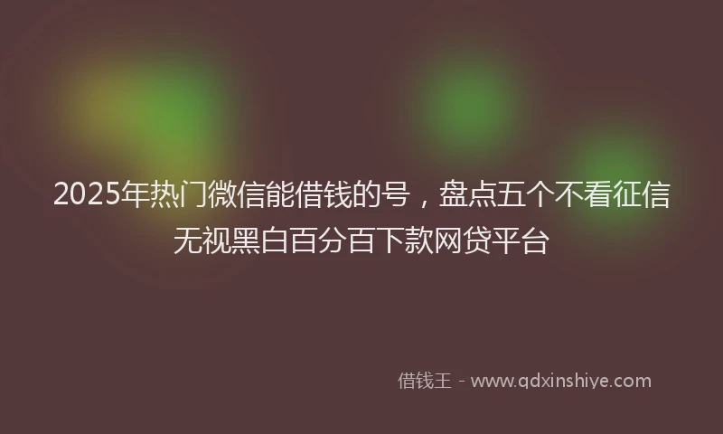 2025年热门微信能借钱的号，盘点五个不看征信无视黑白百分百下款网贷平台