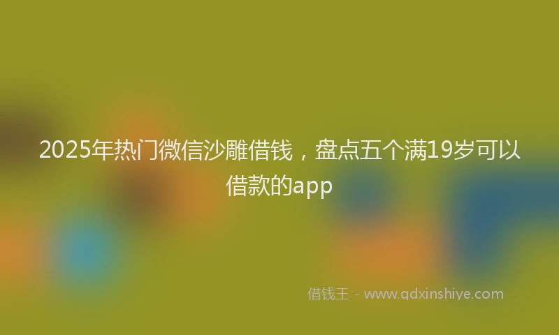 2025年热门微信沙雕借钱，盘点五个满19岁可以借款的app