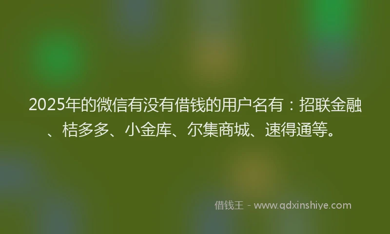 2025年的微信有没有借钱的用户名有：招联金融、桔多多、小金库、尔集商城、速得通等。