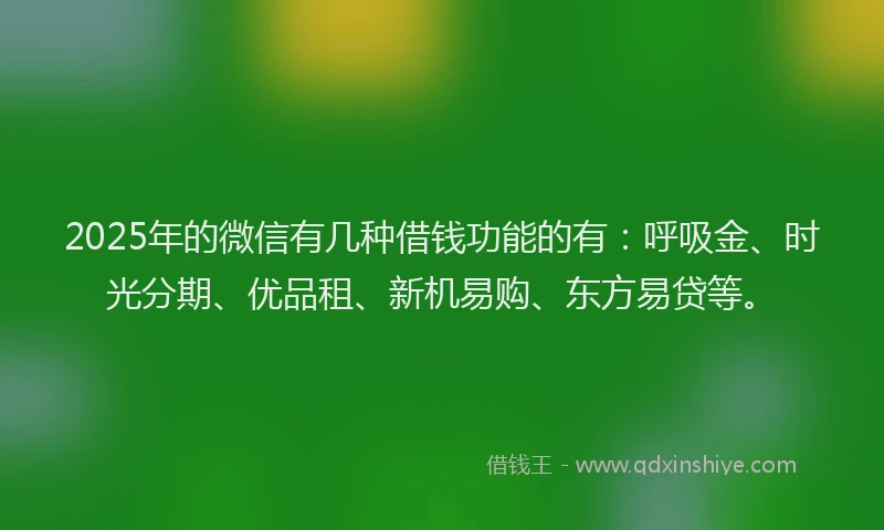 2025年的微信有几种借钱功能的有：呼吸金、时光分期、优品租、新机易购、东方易贷等。