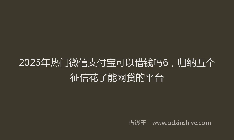 2025年热门微信支付宝可以借钱吗6，归纳五个征信花了能网贷的平台