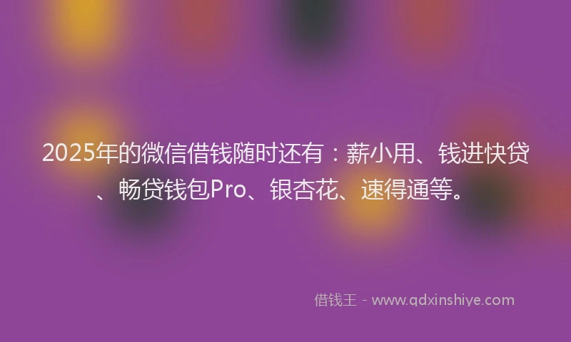 2025年的微信借钱随时还有：薪小用、钱进快贷、畅贷钱包Pro、银杏花、速得通等。