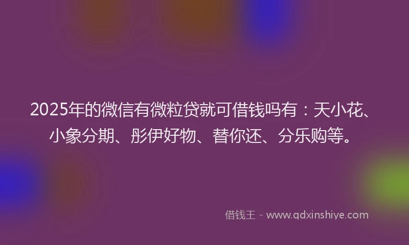 2025年的微信有微粒贷就可借钱吗有：天小花、小象分期、彤伊好物、替你还、分乐购等。