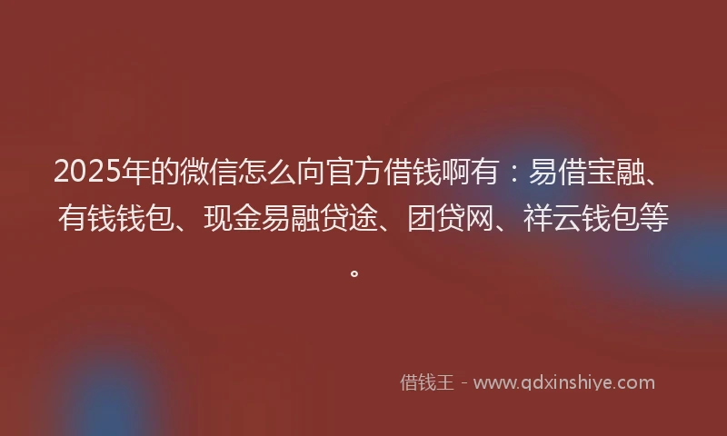 2025年的微信怎么向官方借钱啊有：易借宝融、有钱钱包、现金易融贷途、团贷网、祥云钱包等。