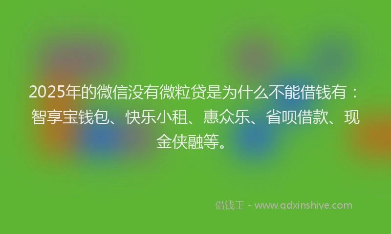 2025年的微信没有微粒贷是为什么不能借钱有：智享宝钱包、快乐小租、惠众乐、省呗借款、现金侠融等。