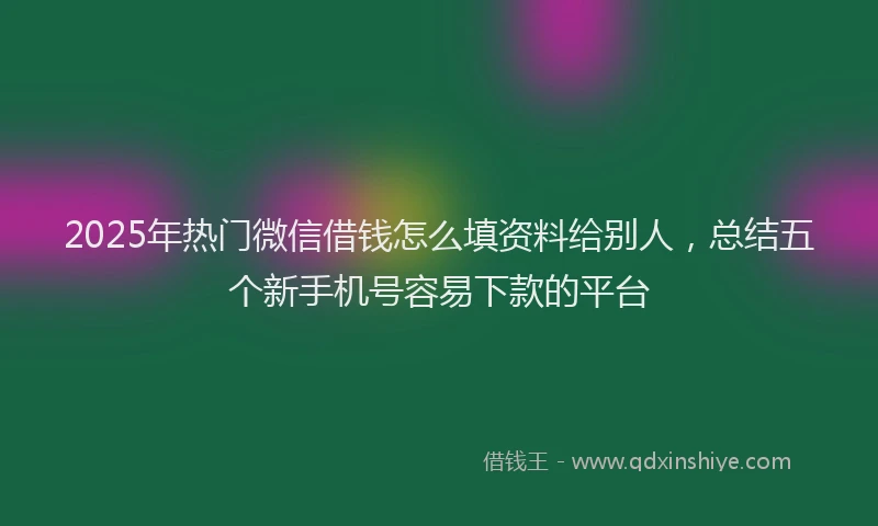 2025年热门微信借钱怎么填资料给别人，总结五个新手机号容易下款的平台