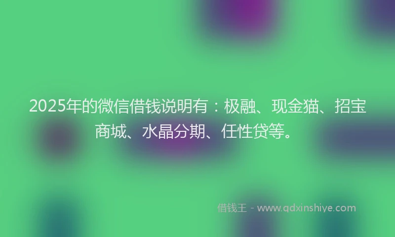 2025年的微信借钱说明有：极融、现金猫、招宝商城、水晶分期、任性贷等。