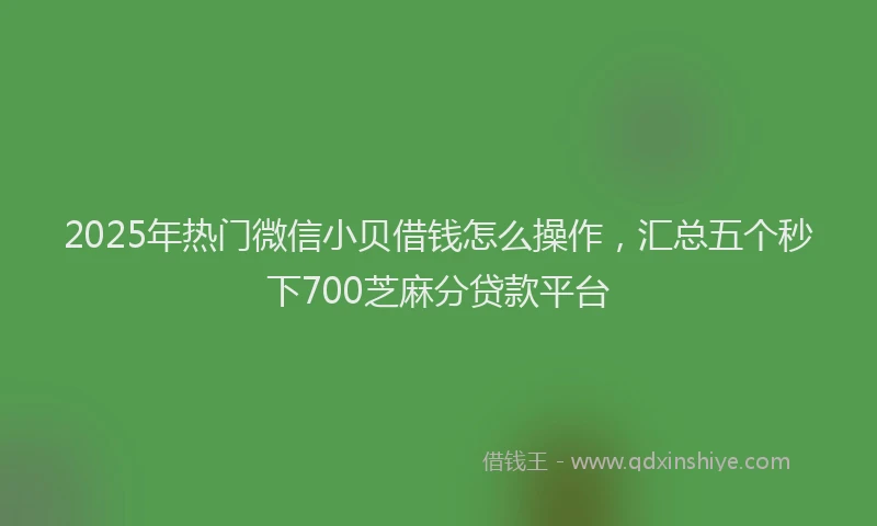 2025年热门微信小贝借钱怎么操作，汇总五个秒下700芝麻分贷款平台