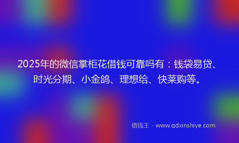2025年的微信掌柜花借钱可靠吗有：钱袋易贷、时光分期、小金鸽、理想给、快莱购等。