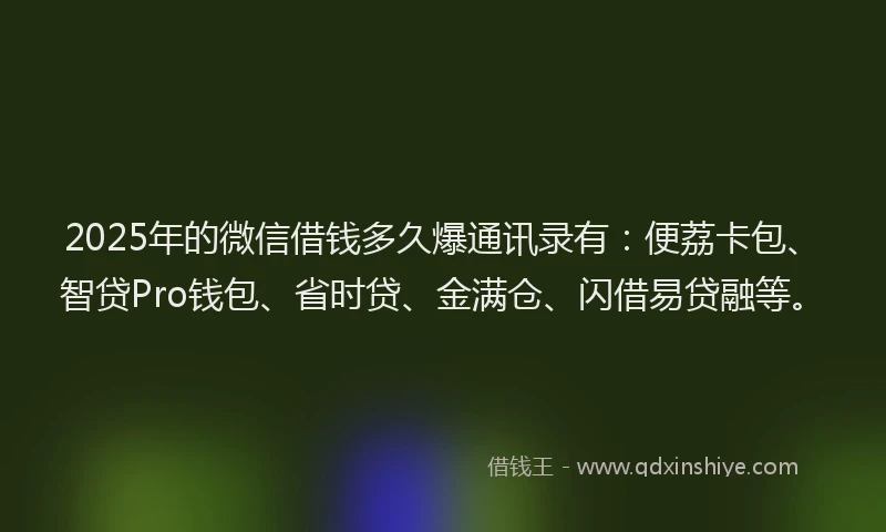 2025年的微信借钱多久爆通讯录有：便荔卡包、智贷Pro钱包、省时贷、金满仓、闪借易贷融等。