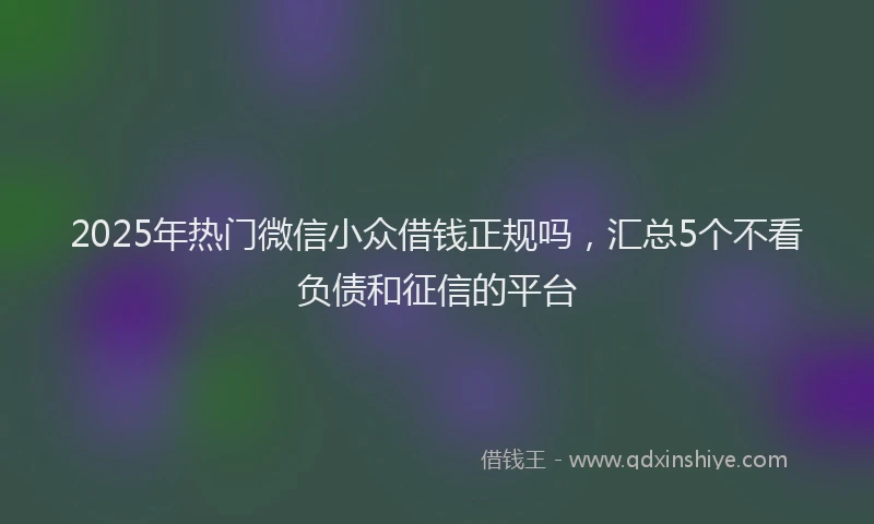 2025年热门微信小众借钱正规吗，汇总5个不看负债和征信的平台