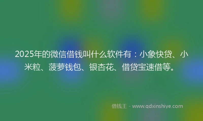 2025年的微信借钱叫什么软件有：小象快贷、小米粒、菠萝钱包、银杏花、借贷宝速借等。
