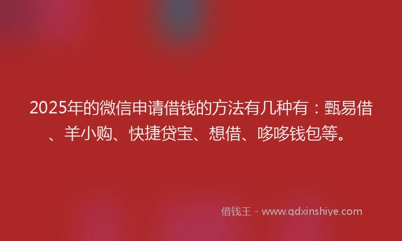 2025年的微信申请借钱的方法有几种有：甄易借、羊小购、快捷贷宝、想借、哆哆钱包等。
