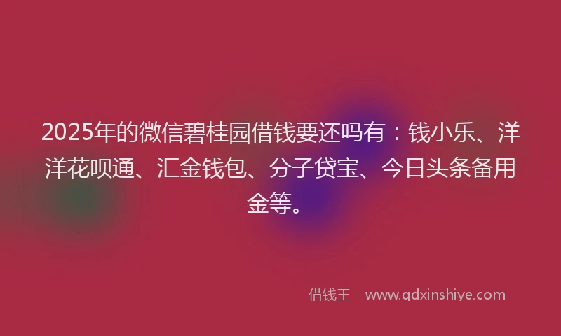 2025年的微信碧桂园借钱要还吗有：钱小乐、洋洋花呗通、汇金钱包、分子贷宝、今日头条备用金等。