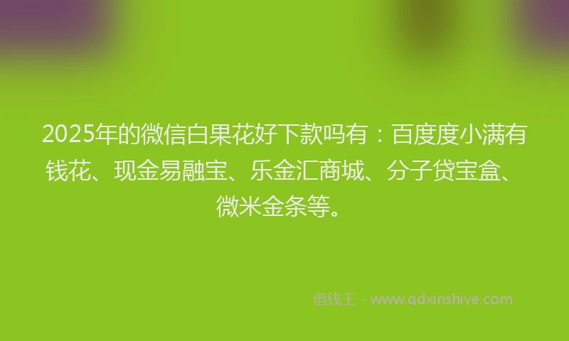 2025年的微信白果花好下款吗有：百度度小满有钱花、现金易融宝、乐金汇商城、分子贷宝盒、微米金条等。
