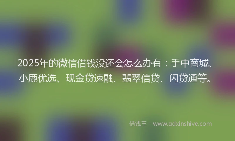 2025年的微信借钱没还会怎么办有：手中商城、小鹿优选、现金贷速融、翡翠信贷、闪贷通等。