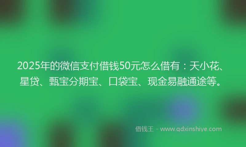 2025年的微信支付借钱50元怎么借有：天小花、星贷、甄宝分期宝、口袋宝、现金易融通途等。