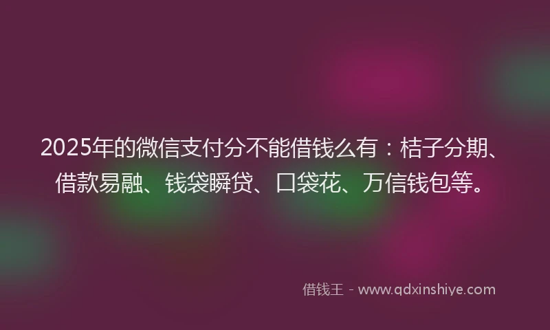 2025年的微信支付分不能借钱么有：桔子分期、借款易融、钱袋瞬贷、口袋花、万信钱包等。