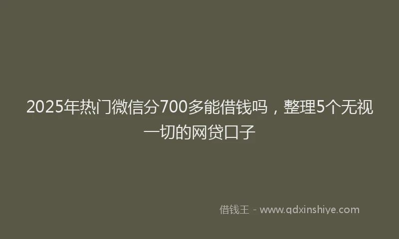 2025年热门微信分700多能借钱吗，整理5个无视一切的网贷口子