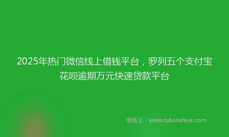 2025年热门微信线上借钱平台，罗列五个支付宝花呗逾期万元快速贷款平台
