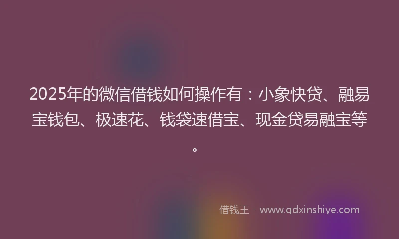2025年的微信借钱如何操作有：小象快贷、融易宝钱包、极速花、钱袋速借宝、现金贷易融宝等。
