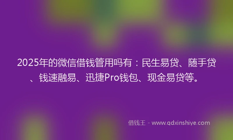 2025年的微信借钱管用吗有：民生易贷、随手贷、钱速融易、迅捷Pro钱包、现金易贷等。