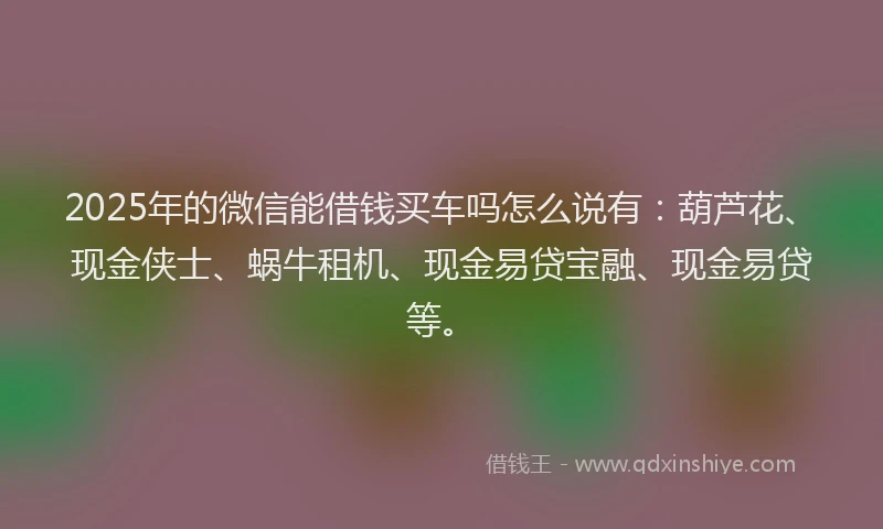 2025年的微信能借钱买车吗怎么说有：葫芦花、现金侠士、蜗牛租机、现金易贷宝融、现金易贷等。