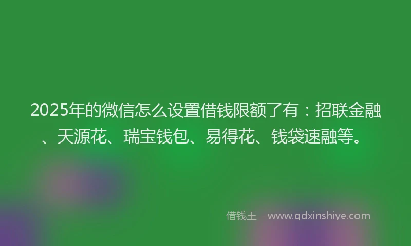 2025年的微信怎么设置借钱限额了有：招联金融、天源花、瑞宝钱包、易得花、钱袋速融等。
