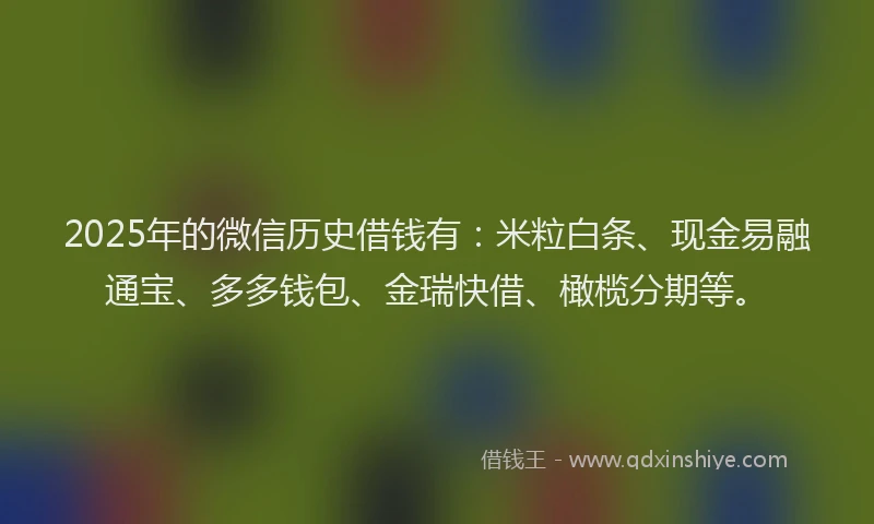 2025年的微信历史借钱有：米粒白条、现金易融通宝、多多钱包、金瑞快借、橄榄分期等。