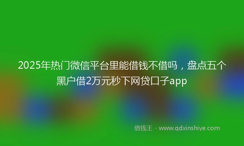 2025年热门微信平台里能借钱不借吗，盘点五个黑户借2万元秒下网贷口子app