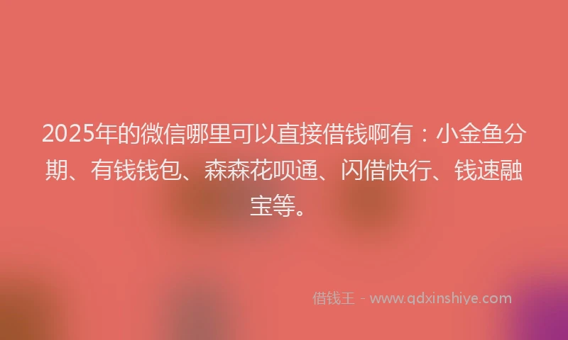 2025年的微信哪里可以直接借钱啊有：小金鱼分期、有钱钱包、森森花呗通、闪借快行、钱速融宝等。