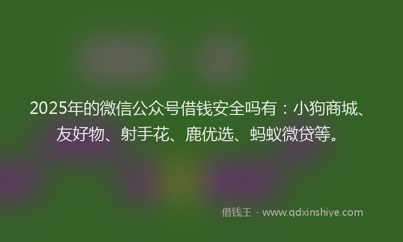 2025年的微信公众号借钱安全吗有：小狗商城、友好物、射手花、鹿优选、蚂蚁微贷等。