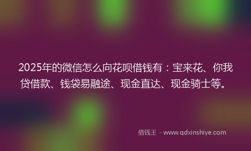2025年的微信怎么向花呗借钱有：宝来花、你我贷借款、钱袋易融途、现金直达、现金骑士等。