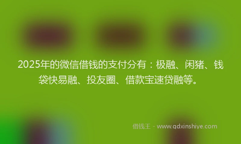2025年的微信借钱的支付分有：极融、闲猪、钱袋快易融、投友圈、借款宝速贷融等。