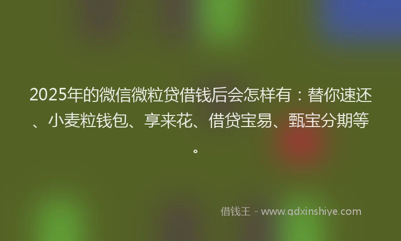 2025年的微信微粒贷借钱后会怎样有：替你速还、小麦粒钱包、享来花、借贷宝易、甄宝分期等。