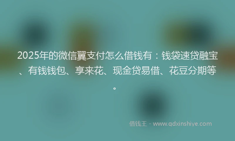 2025年的微信翼支付怎么借钱有：钱袋速贷融宝、有钱钱包、享来花、现金贷易借、花豆分期等。