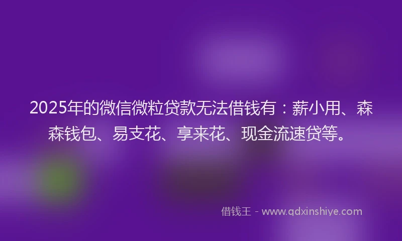 2025年的微信微粒贷款无法借钱有：薪小用、森森钱包、易支花、享来花、现金流速贷等。