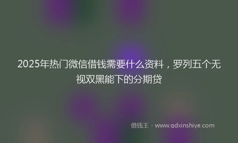 2025年热门微信借钱需要什么资料，罗列五个无视双黑能下的分期贷
