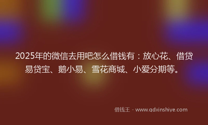 2025年的微信去用吧怎么借钱有：放心花、借贷易贷宝、鹅小易、雪花商城、小爱分期等。
