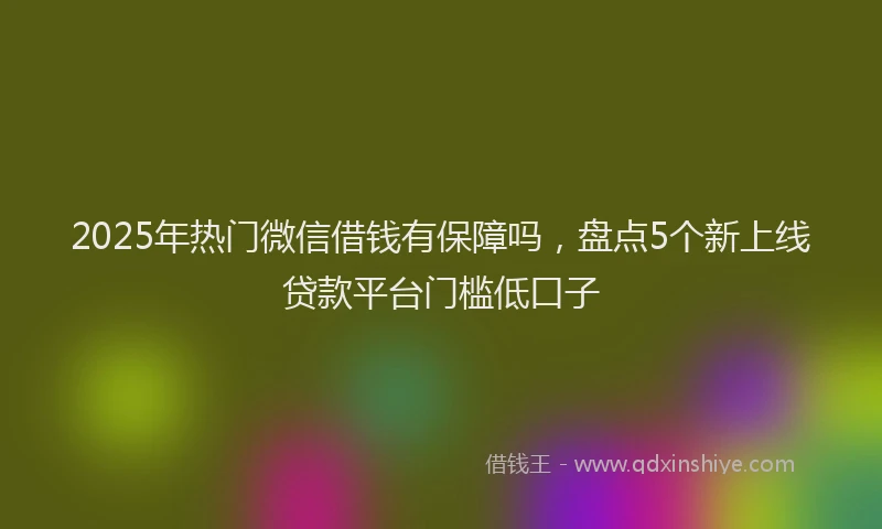 2025年热门微信借钱有保障吗，盘点5个新上线贷款平台门槛低口子