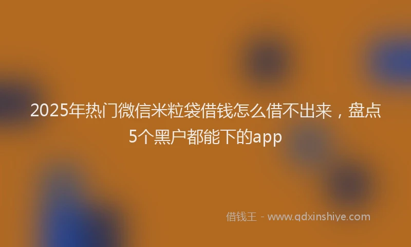 2025年热门微信米粒袋借钱怎么借不出来，盘点5个黑户都能下的app