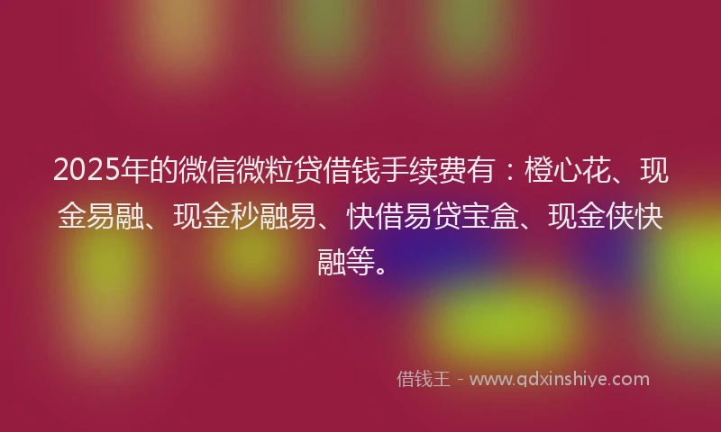 2025年的微信微粒贷借钱手续费有：橙心花、现金易融、现金秒融易、快借易贷宝盒、现金侠快融等。