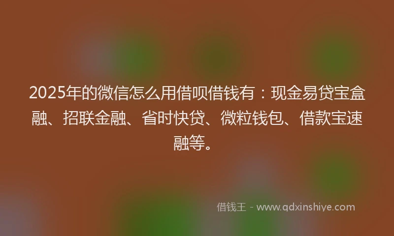 2025年的微信怎么用借呗借钱有：现金易贷宝盒融、招联金融、省时快贷、微粒钱包、借款宝速融等。