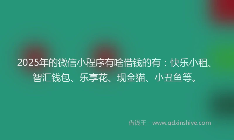 2025年的微信小程序有啥借钱的有：快乐小租、智汇钱包、乐享花、现金猫、小丑鱼等。