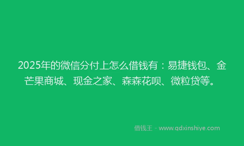 2025年的微信分付上怎么借钱有：易捷钱包、金芒果商城、现金之家、森森花呗、微粒贷等。