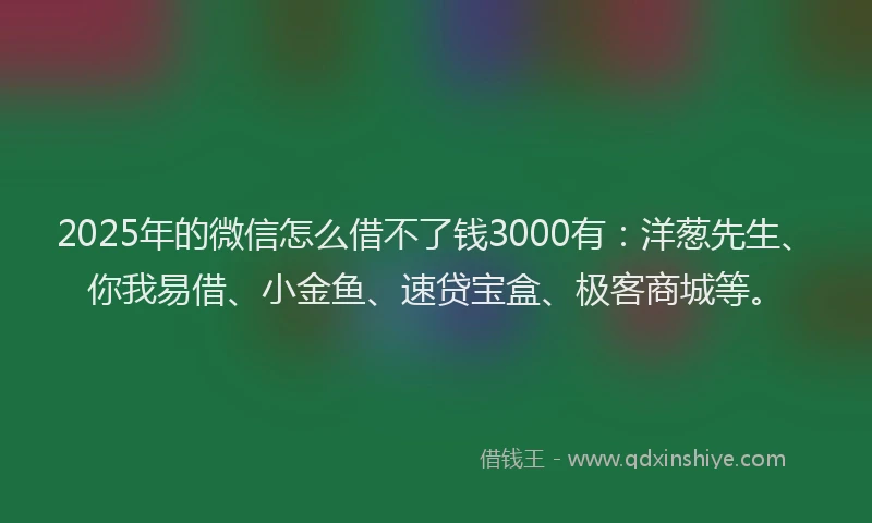 2025年的微信怎么借不了钱3000有：洋葱先生、你我易借、小金鱼、速贷宝盒、极客商城等。