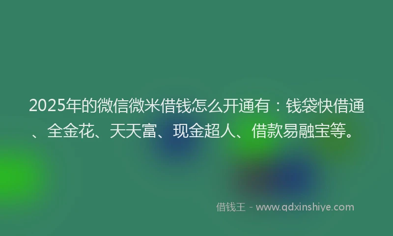 2025年的微信微米借钱怎么开通有：钱袋快借通、全金花、天天富、现金超人、借款易融宝等。