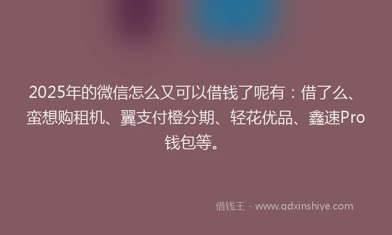 2025年的微信怎么又可以借钱了呢有：借了么、蛮想购租机、翼支付橙分期、轻花优品、鑫速Pro钱包等。