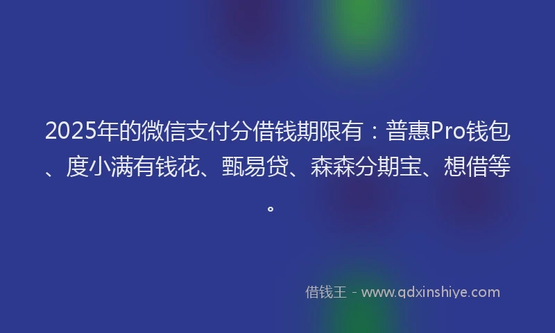 2025年的微信支付分借钱期限有：普惠Pro钱包、度小满有钱花、甄易贷、森森分期宝、想借等。